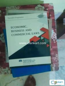 Cs executive by icsi