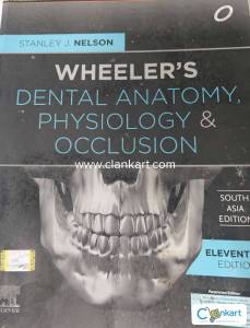 DENTAL ANATOMY, PHYSIOLOGY& OCCLUSION