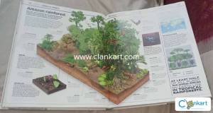 DK Knowledge Encyclopedia