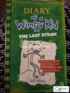 Diary of a Wimpy kid, The last straw