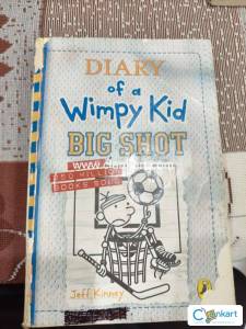 Diary of wimpy kid big shot