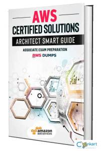 Discover DVA-C02 Exclusive Dumps PDF with a 70% Christmas Discount