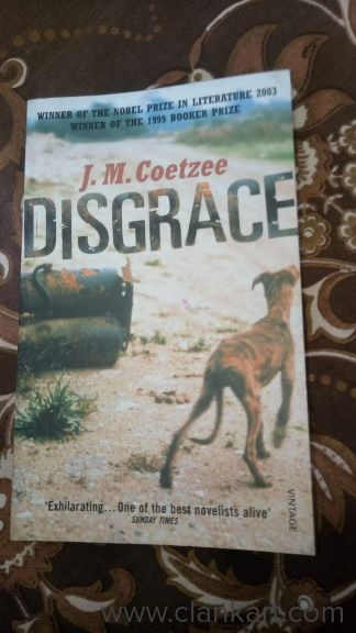 Disgrace  (English )