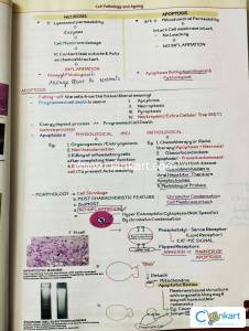 Dr. Devesh Mishra's Pathology  Notes