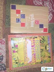 Economics CLASS 10 CBSE BOOK and Kritika part 2