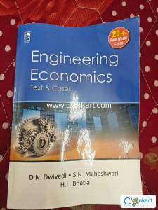 Economics engineering