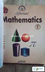 Effectual mathematics for class 8