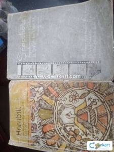 English NCERT class 11 hornbill and snapshots