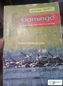 English book class 12 flamingo