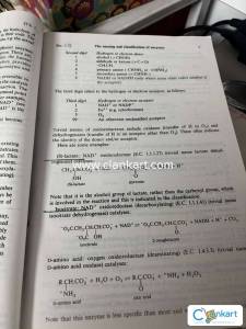 Enzymes by Palmer