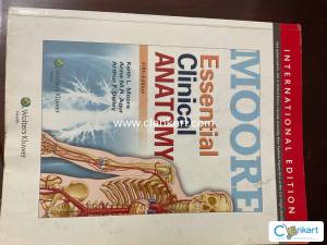 Essential Clinical Anatomy by Moore