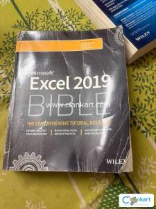 Excel 2019 BIBLE