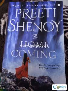 Fiction Book in Good Condition