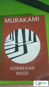 Fictional Novel