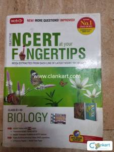 Fingertips biology