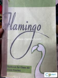 Flamingo Class 12