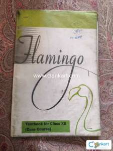 Flamingo and Vistas Class 12