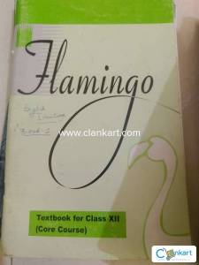 Flamingo and vistas class 12