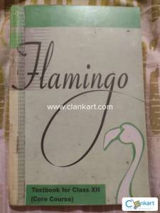 Flamingo textbook and vistas textbook