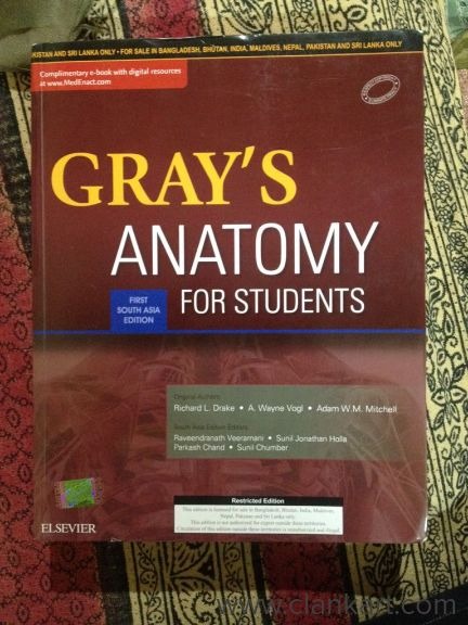 Grays anatomy