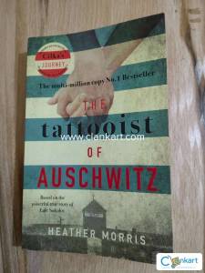 Historical fiction novel