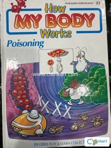 How my body works