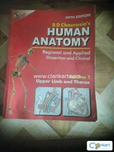 Human anatomy