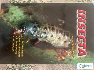 INSECTA an introduction
