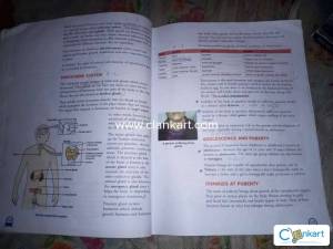 I have written something something in my book during my study