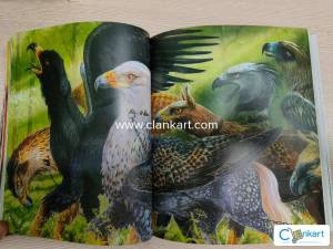 Illustrated Edition Harry Potter and the Prisoner of Azkaban