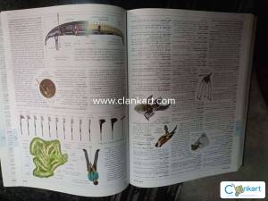 Illustrated oxford dictionary