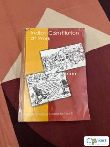 Indian Constitution at work class 11