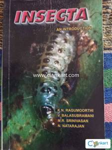 Insecta An Introduction