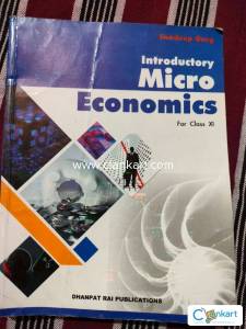 Introduction micro economics for class 11