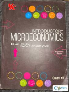 Introductory Microeconomics class 12
