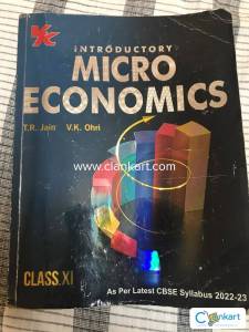 Introductory microeconomics class11