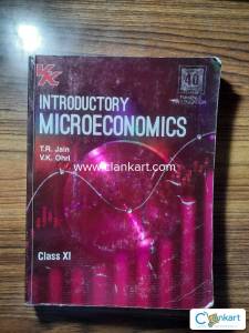 Introductory microeconomics class 11