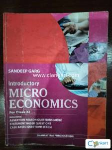 Introductory microeconomics class 11