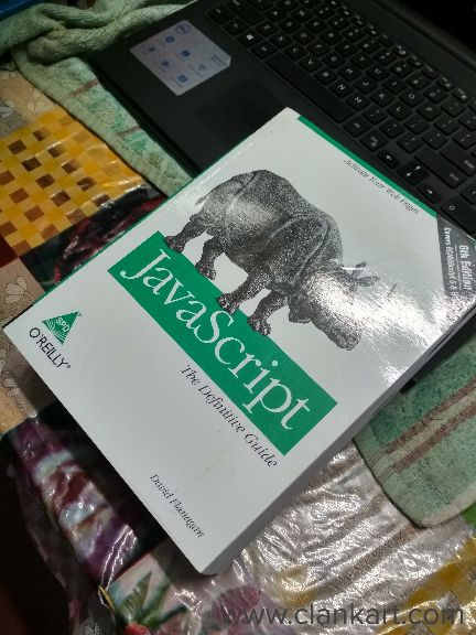 JAVASCRIPPT THE DEFINITIVE GUIDE