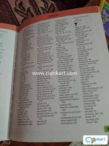 Junior picture Dictionary