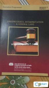 Jurisprudence, Interpretation & General laws Cs executive