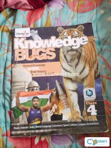 Knowledge bugs