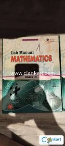 Lab Manual Mathematics XI
