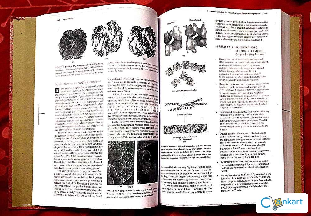 Buy lehninger principles of biochemistry part 1 2 book in
