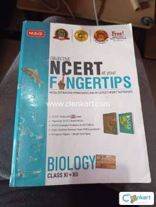 MTG fingertips biology
