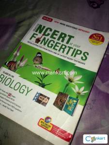 MTG fingertips biology