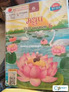 Madhup Hindi pathmala class 6