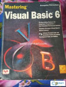 Mastering Visual Basics