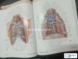 Mbbs Nettlers Atlas