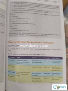 Mbbs anatomy dissector